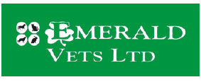 Small Animal Veterinary Surgeon in Llaneli, Wales