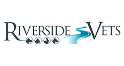 Experienced Small Animal Veterinary Surgeon, Hampshire