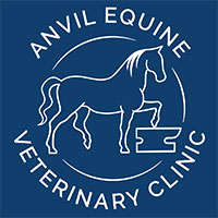 Equine Veterinary Surgeon - West Sussex