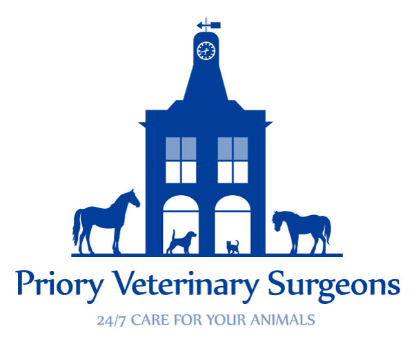New Graduate Veterinary Surgeon, Surrey