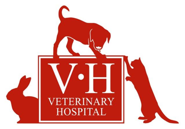Full or Part Time Veterinary Surgeon