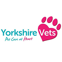 Small Animal Veterinary Surgeon, Yorkshire