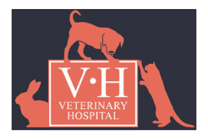 Small Animal Veterinary Surgeon, Lincoln