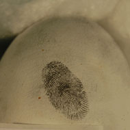 Fingerprint recovered from a golden eagle egg