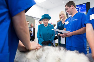 Queen tours Surrey vet school