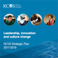strategic plan publication