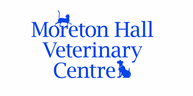 Dog Groomer (full or part-time) - Bury St Edmunds, Suffolk