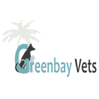 Small Animal Vet wanted for independent practice in Torbay, South Devon.  