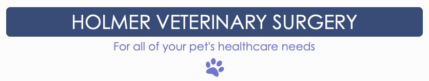 Full-time Veterinary Surgeon - Hereford, Herefordshire