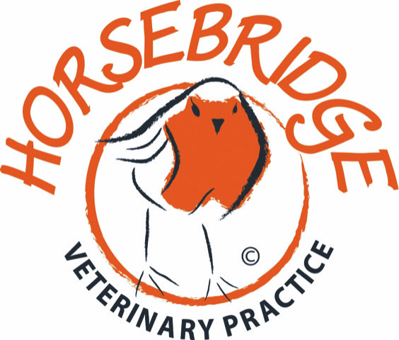 Small Animal Veterinary Surgeon - Horsebridge, East Sussex