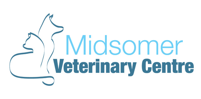 Small Animal Veterinary Surgeons - Midsomer Norton, North Somerset