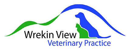Small Animal Veterinary Surgeon (Full or Part-time) - Wellington, Shropshire