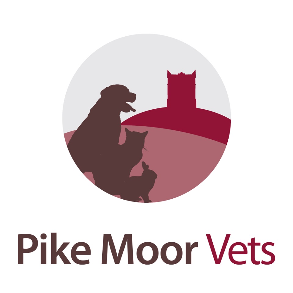Small Animal Vet (Full or Part-time) - Horwich and Westhoughton, West Bolton