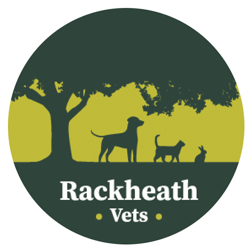 Veterinary Surgeon  Rackheath, Norfolk