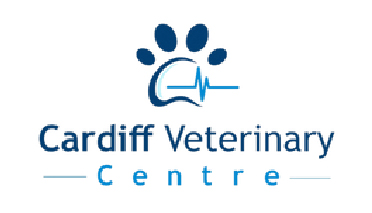 Small Animal Veterinary Surgeon (Part-time)  Cardiff, South Wales