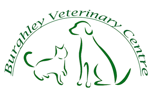 Small Animal Veterinary Surgeon (Permanent, Full-time) - Stamford, Lincolnshire