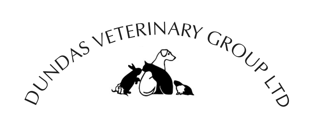 Veterinary Surgeon (Maternity Cover)  Edinburgh