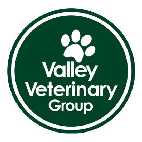 Full-time Veterinary Nurse  West Berkshire