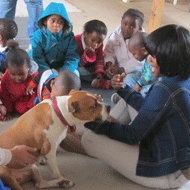 Education centre opens for pet owners in Khayelitsha