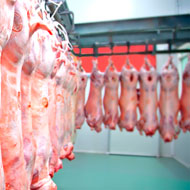 Diseased meat fears follow rule change