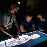 UK's first virtual cadaver benefits medical students