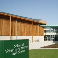 Veterinary medicine at Nottingham is 'best in the UK'