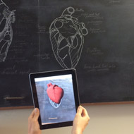 Students use augmented reality to analyse animal anatomy