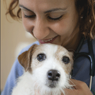 PDSA receives support for paid-for treatment