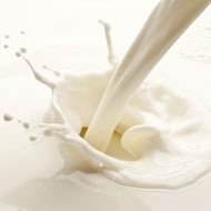 Scottish government to establish dairy brand