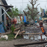 Vets head to island devastated by Cyclone Pam