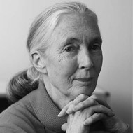 Jane Goodall to head VetFest line up 