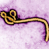 Village under quarantine following Ebola death