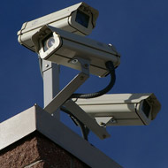 MPs back campaign for CCTV in slaughterhouses