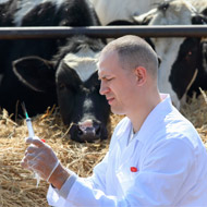 Defra urges more effort to prevent spread of bTB