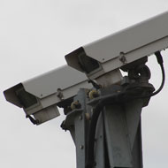 Dismay over report on mandatory CCTV in abattoirs