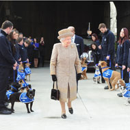 Queen steps down from animal charities