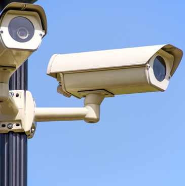 Slaughterhouse CCTV law laid before parliament