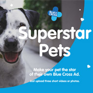 New Blue Cross app to make pets superstars