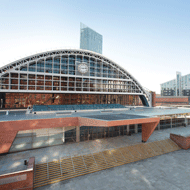 Congress to move to Manchester, BSAVA announces