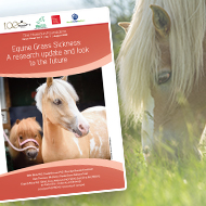  New booklet provides update on equine grass sickness