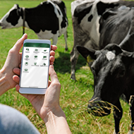 SRUC launches new app to connect farmers and vets