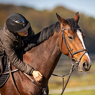 Owners of former racehorses needed for survey