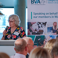 BVA president hopes CMA review could be catalyst for change