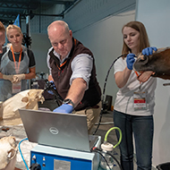 BEVA Congress to host wetlab practicals