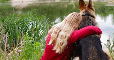 Domestic abuse support services urgently need pet fosterers
