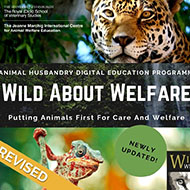 Wild Welfare relaunches online learning programme