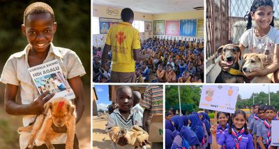 Rabies education project reaches 10 million people