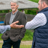 Bovine TB board established in Wales