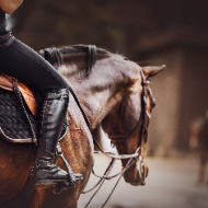 Flatter saddles may improve horse welfare - study