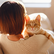 New iCatCare course addresses feline wellbeing